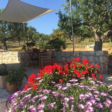 The Olive Grove 2 * Koróni