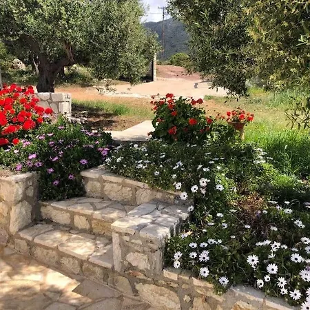 The Olive Grove 2 *